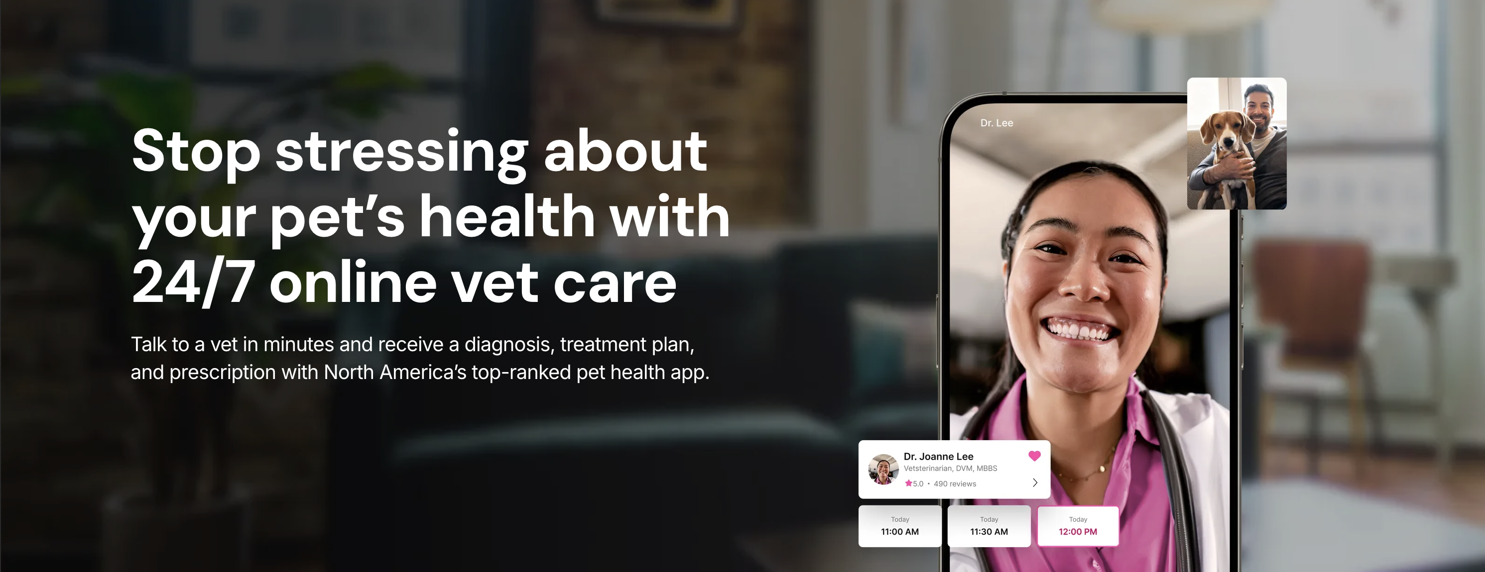 Vetster mobile app hero visual showing online vet care experience